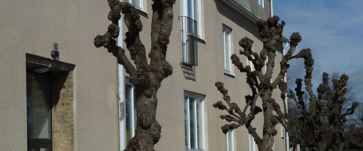 Bergsgatan 6 - Photo 1