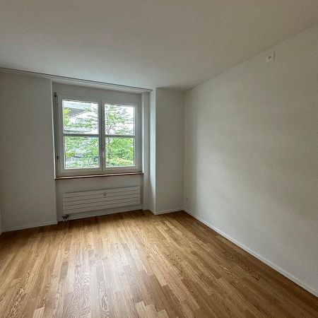 Erstbezug 3.5 Zimmerwohnung in Wetzikon - Foto 1