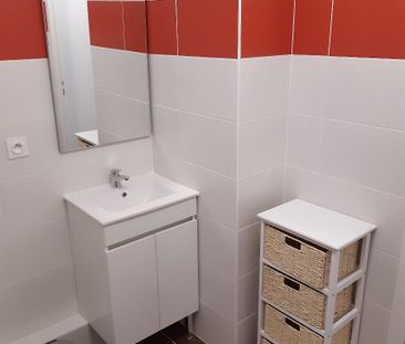 Location Appartement 1 pièce 27m² ALBI 81000 - Photo 5