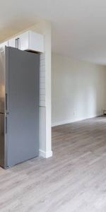 Renovated 2 Bedroom Apartment - Available October 1st - Photo 3