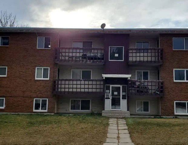 2 BEDROOMS,LARGE APARTMENT! AMAZING LOCATION! CLOSE TO U OF C! — 2 Bedrooms Apartment - Photo 1
