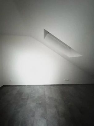 Pronájem bytu 2kk,mezonet 73 m - Fotografie 1