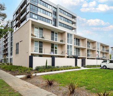 201/259 Northbourne Ave, Lyneham ACT 2602 - House For Rent | Domain - Photo 2