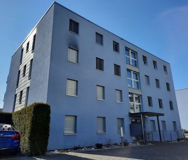 4.5 Zimmerwohnung in Frick gesucht? - Foto 5