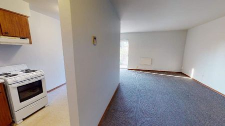 One Bedroom Apartment - Photo 4