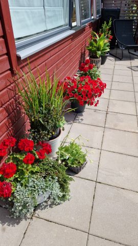 Mejerigränd, Vallberga - Photo 4