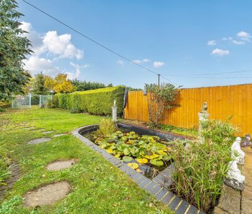 4 bedroom semi-detached house to rent - Photo 2