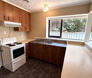 Little brick beauty on North Street! - Photo 6