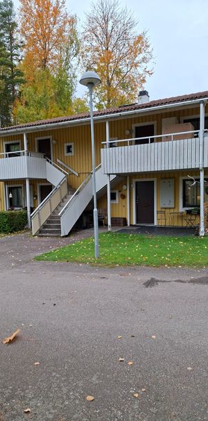 Tallstigen, Skattkärr - Foto 1