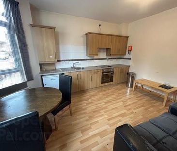 Great Apartment, 41a Agincourt Avenue, Queens Quarter, Belfast - Photo 4