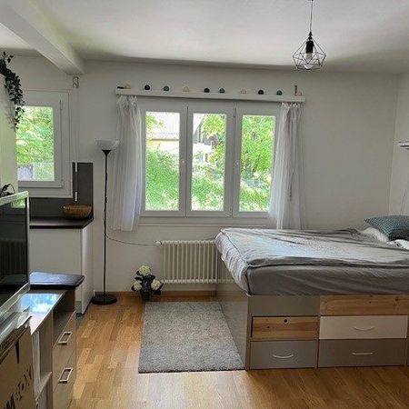 Joli appartement de 1 pièce au 1er étage - Foto 3