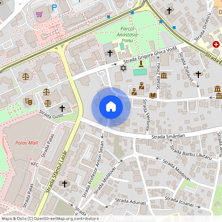 Bucsinescu, Iasi