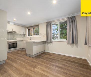 Beautifully Renovated Macgregor Home - Photo 2