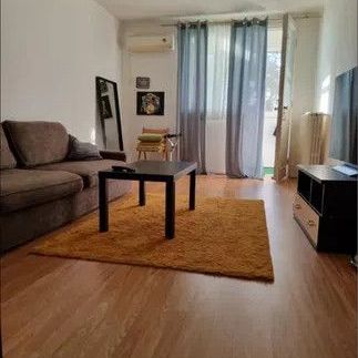 AP. 3 CAMERE | Nicolae Grigorescu | Cat Friendly - Fotografie 1