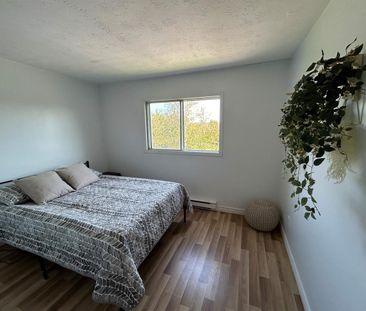 2 CH - 1 SDB - Sherbrooke - $1,150 /mo - Photo 3