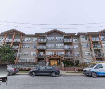 407-20219 54A Avenue, Langley - Photo 6