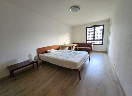 Appartement à louer 4 pièces • 133 m2 Saint-Genis-Pouilly - Photo 5