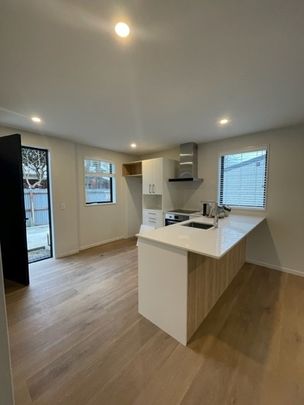 45B Hillier Place, Spreydon - Photo 1