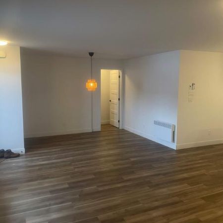 3 CH - 2 SDB - Waterloo - $1,550 /mo - Photo 4