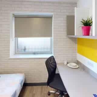Premium Studio - Photo 5