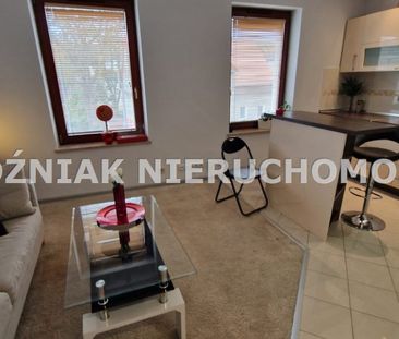 Wałbrzych, Biały Kamień Mieszkanie na wynajem - Photo 4