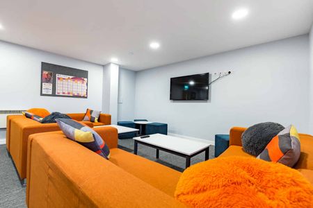 7 Bed Premium Studio - Photo 5