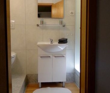 APPARTEMENT 1 PIÈCE À OBERGÖSGEN (DIM), MEUBLÉ - Photo 4