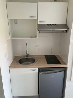 Location Appartement 1 pièce 19m² AUZEVILLE TOLOSANE 31320 - Photo 1