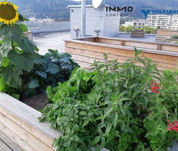 1 MONAT MIETFREI 3-ZI. WOHNUNG MIT LOGGIA UND TOPAUSSTATTUNG IM NEU... - Foto 5