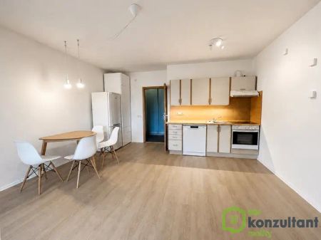 Pronájem bytu 2+kk s velkým balkonem - Photo 5