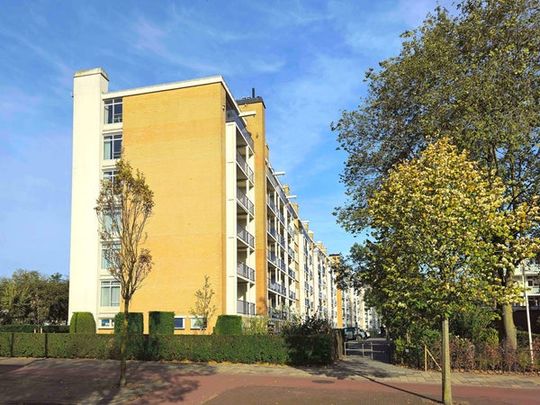 Te huur: Appartement Landréstraat 1047 in Den Haag - Photo 1