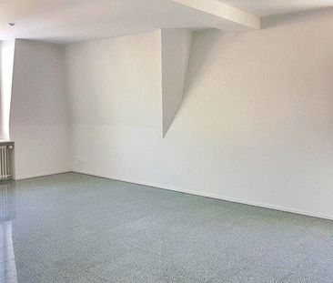 Stadt und Natur - ein Widerspruch? Nicht an dieser Wohnlage - Foto 1