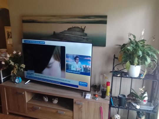 Surfers Paradise - Photo 1