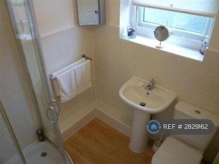 2 bedroom semi-detached house to rent - Photo 4