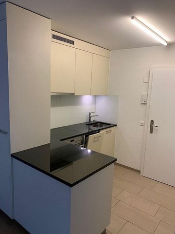 Moderne 1.5-Zimmer-Wohnung im Grünen zu vermieten - Photo 2