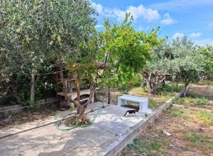 Μονοκατοικία για ενοικίαση - Μαρκόπουλο, - Φωτογραφία 5