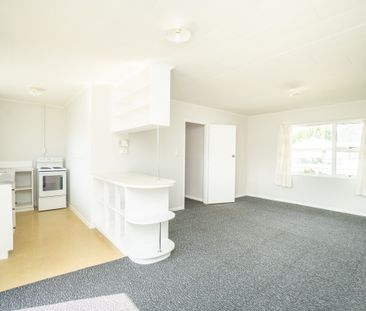 Four Bedroom on Seddon! - Photo 6
