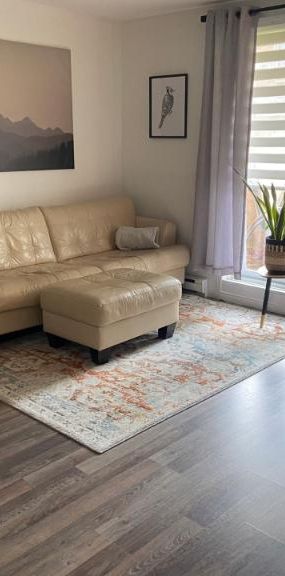 4 1/2 - Lévis - 1 020 $/mois - Photo 1