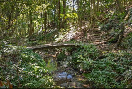 Rural Living with Ocean Views - Photo 3