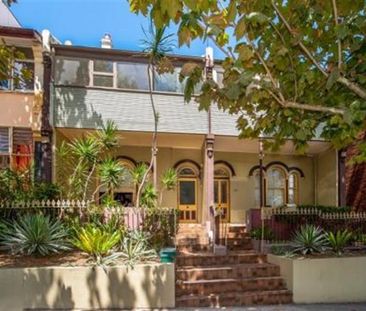 2/127 Alison Road, Randwick NSW 2031 - House For Rent | Domain - Photo 5