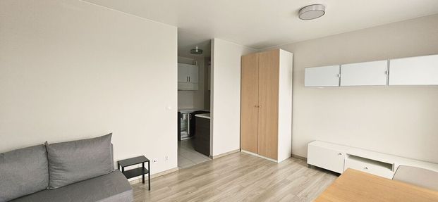 MIESZKANIE na WYNAJEM - Photo 1