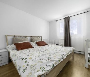 Appartement 4 ½ à louer Lévis juillet 2026 - Photo 3