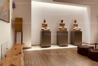 Short term rental of the luxury modern villa in El Duque / VILLA TESORO EL DUQUE