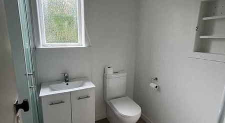 Large 1 Bedroom Flat on Hataitai Road - Photo 3