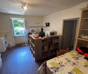 Location appartement ancien 1 pièce 39 m² à Chavanay (42410) - Photo 4