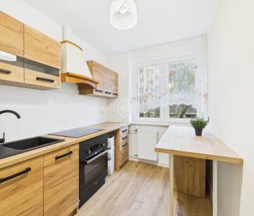 3 pokojowe mieszkanie po generalnym remoncie - Photo 2