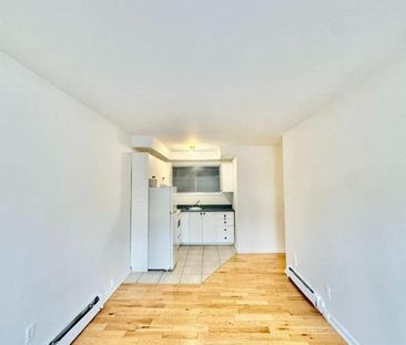 1 CH - 1 SDB - Montréal - $1,420 /mo - Photo 3
