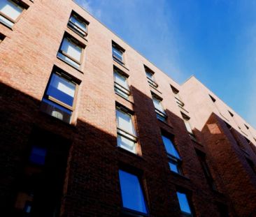 Gold En-Suite - Photo 6