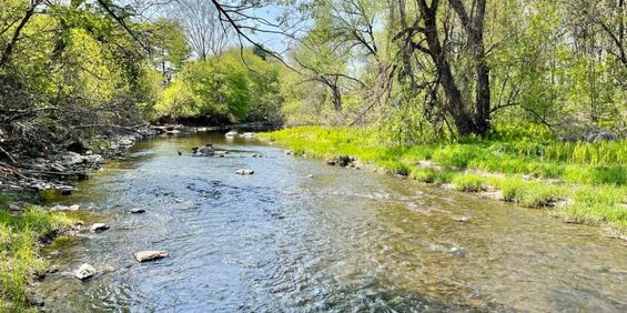 3 ½ à Louer, Beau Secteur! - Photo 3