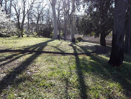 Location Appartement 1 pièce 20m² RAMONVILLE ST AGNE 31520 - Photo 5